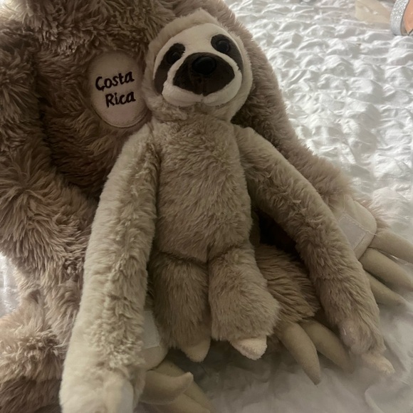 mom and baby costa rica sloth - Picture 4 of 5